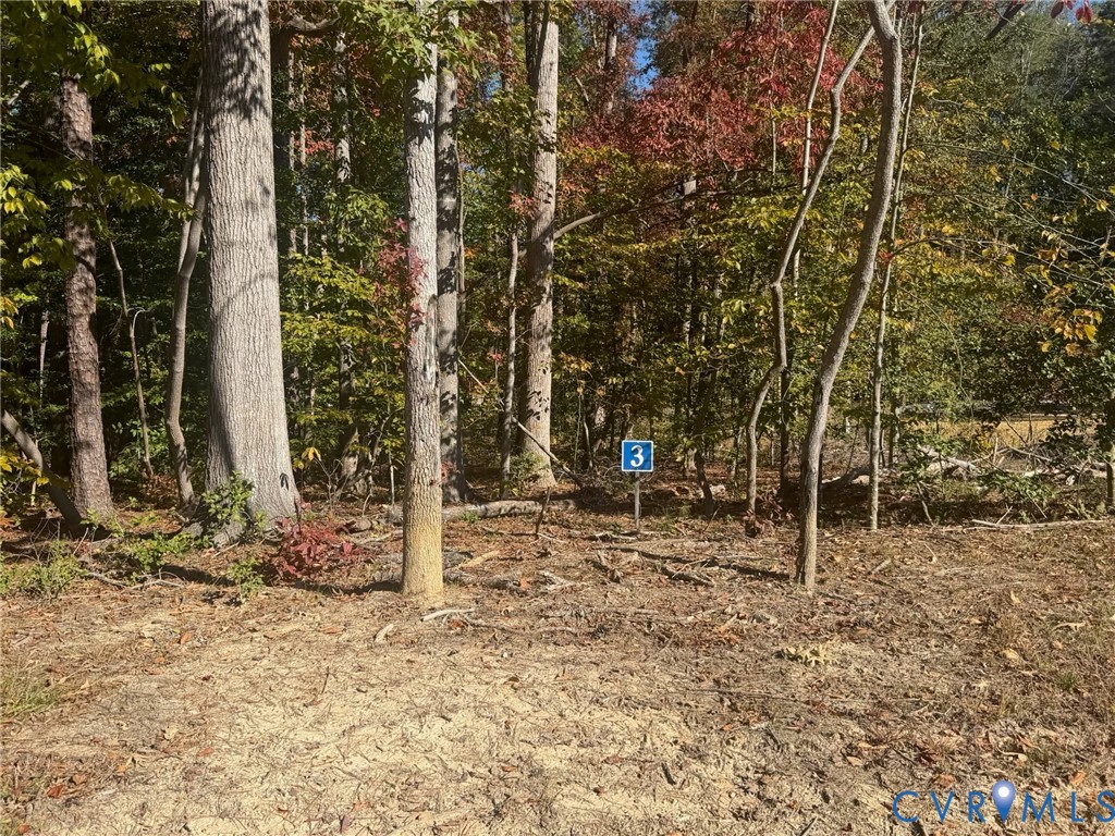 Lot 3