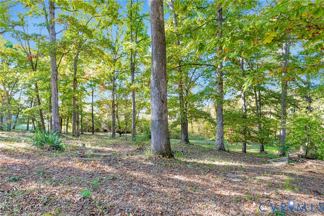 Wooded parcel featuring mature hardwood trees and native vegetation