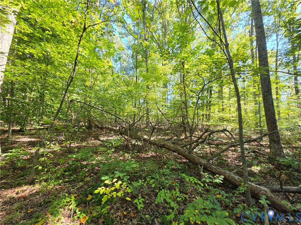 7.433Ac Penlan Road, Arvonia Area, Arvonia, VA 23004