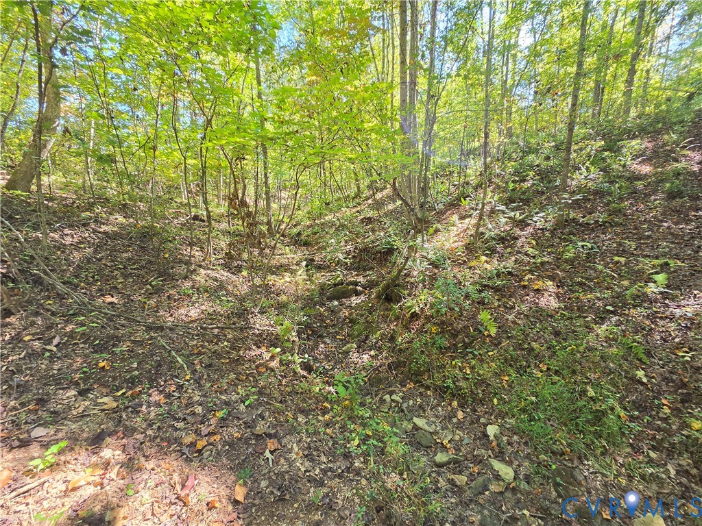 7.433Ac Penlan Road, Arvonia Area, Arvonia, VA 23004