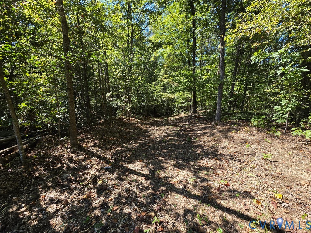 7.433Ac Penlan Road, Arvonia Area, Arvonia, VA 23004