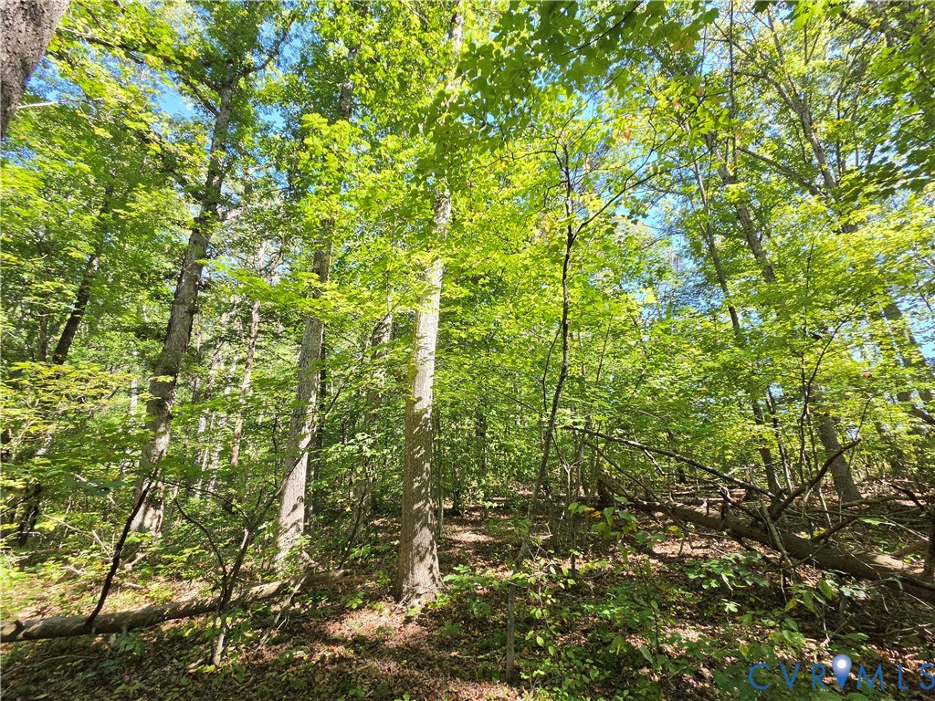 7.433Ac Penlan Road, Arvonia Area, Arvonia, VA 23004