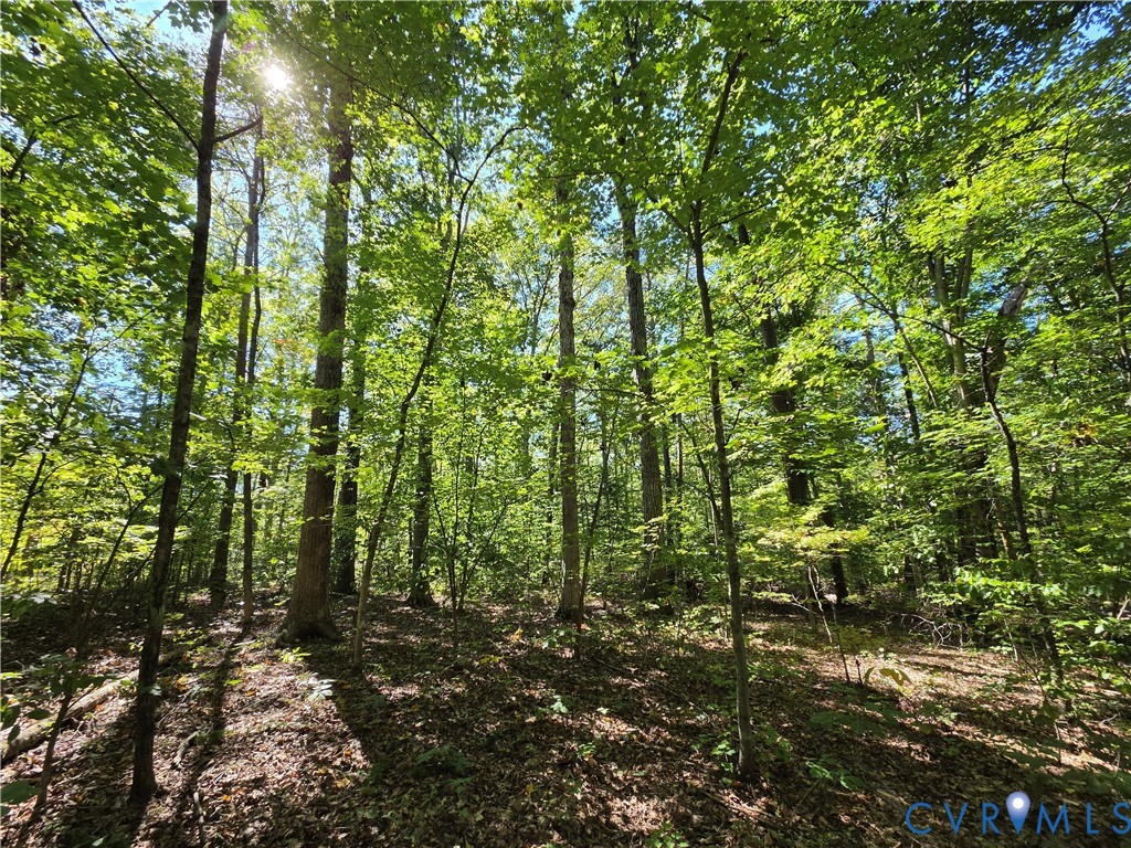 7.433Ac Penlan Road, Arvonia Area, Arvonia, VA 23004