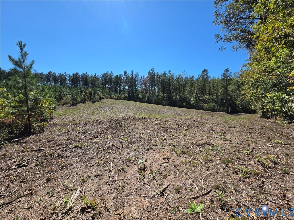 7.433Ac Penlan Road, Arvonia Area, Arvonia, VA 23004