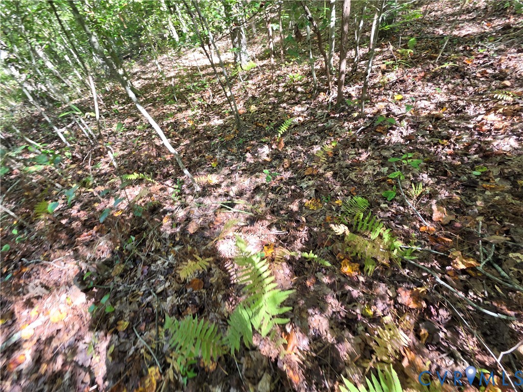 7.433Ac Penlan Road, Arvonia Area, Arvonia, VA 23004