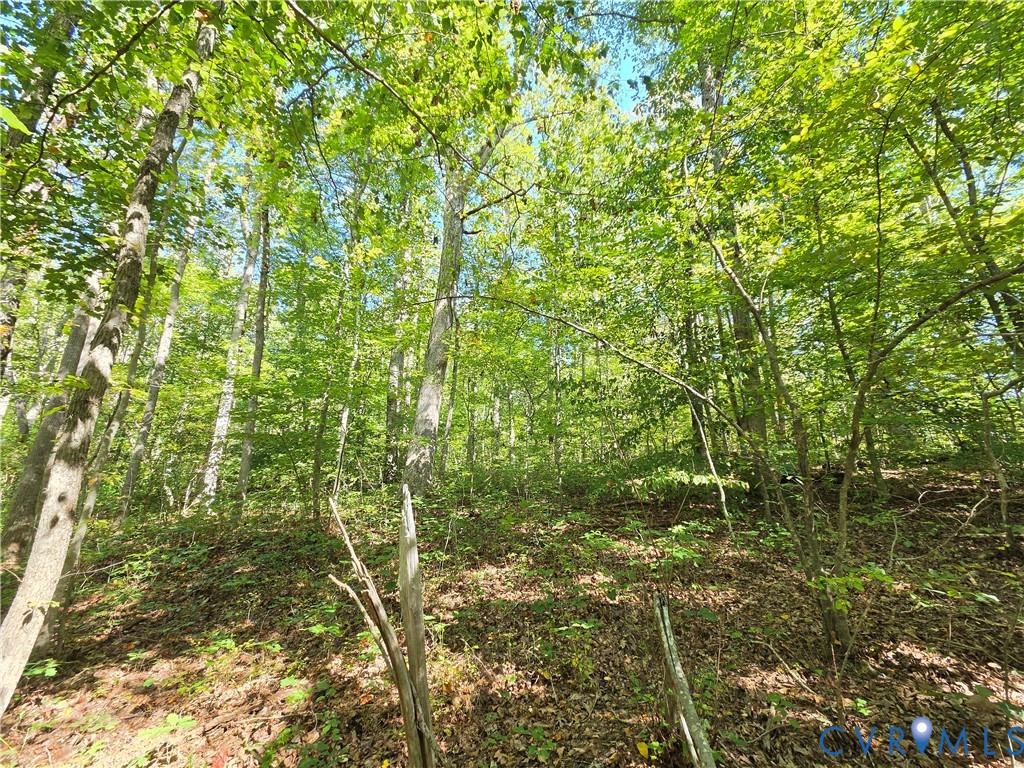 7.433Ac Penlan Road, Arvonia Area, Arvonia, VA 23004