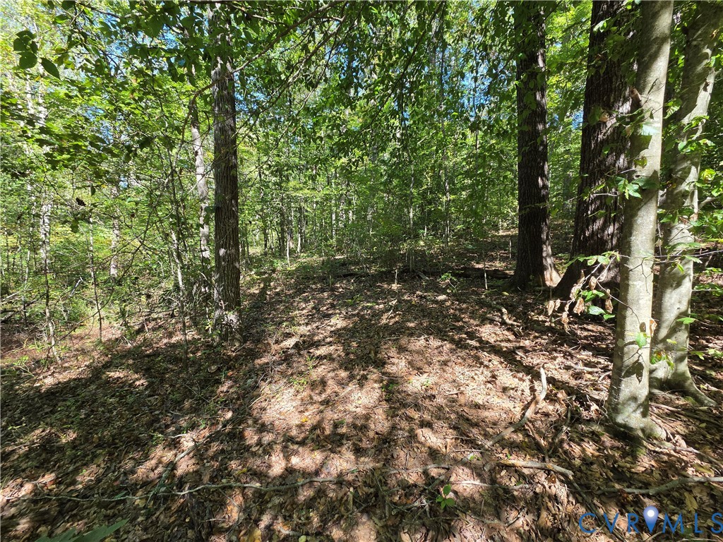 7.433Ac Penlan Road, Arvonia Area, Arvonia, VA 23004