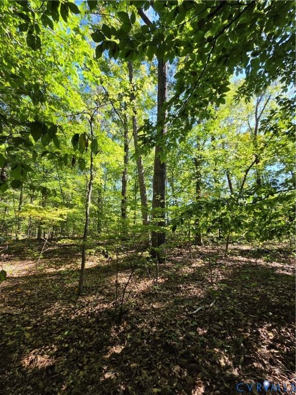 7.433Ac Penlan Road, Arvonia Area, Arvonia, VA 23004