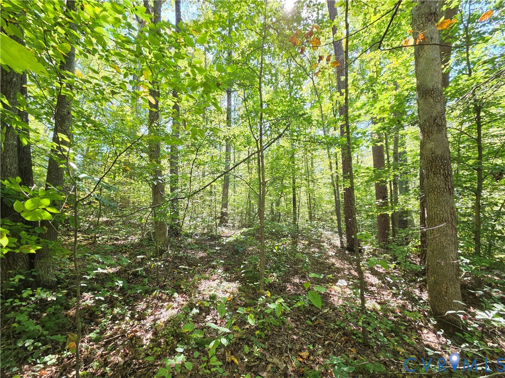 7.433Ac Penlan Road, Arvonia Area, Arvonia, VA 23004