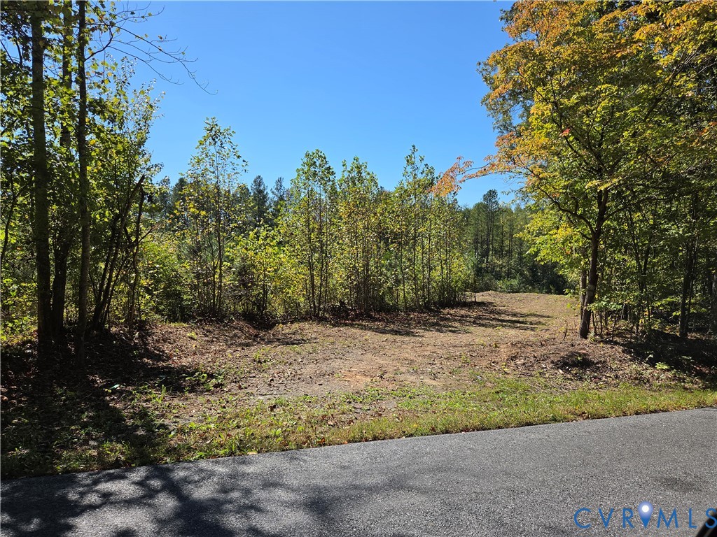 7.433Ac Penlan Road, Arvonia Area, Arvonia, VA 23004