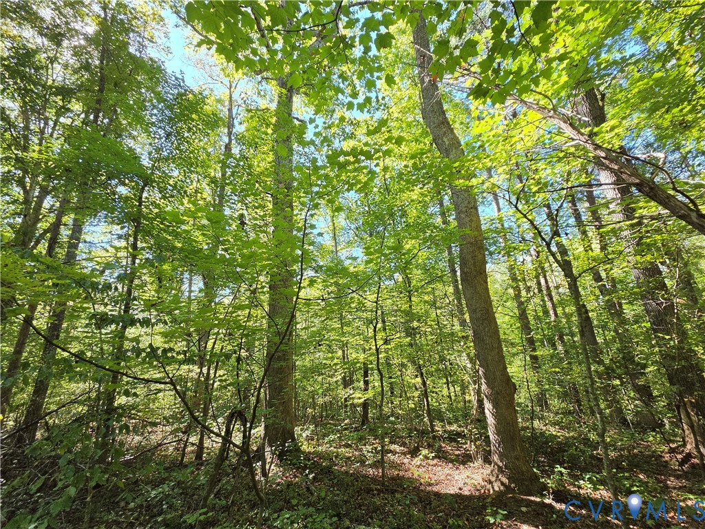 7.433Ac Penlan Road, Arvonia Area, Arvonia, VA 23004