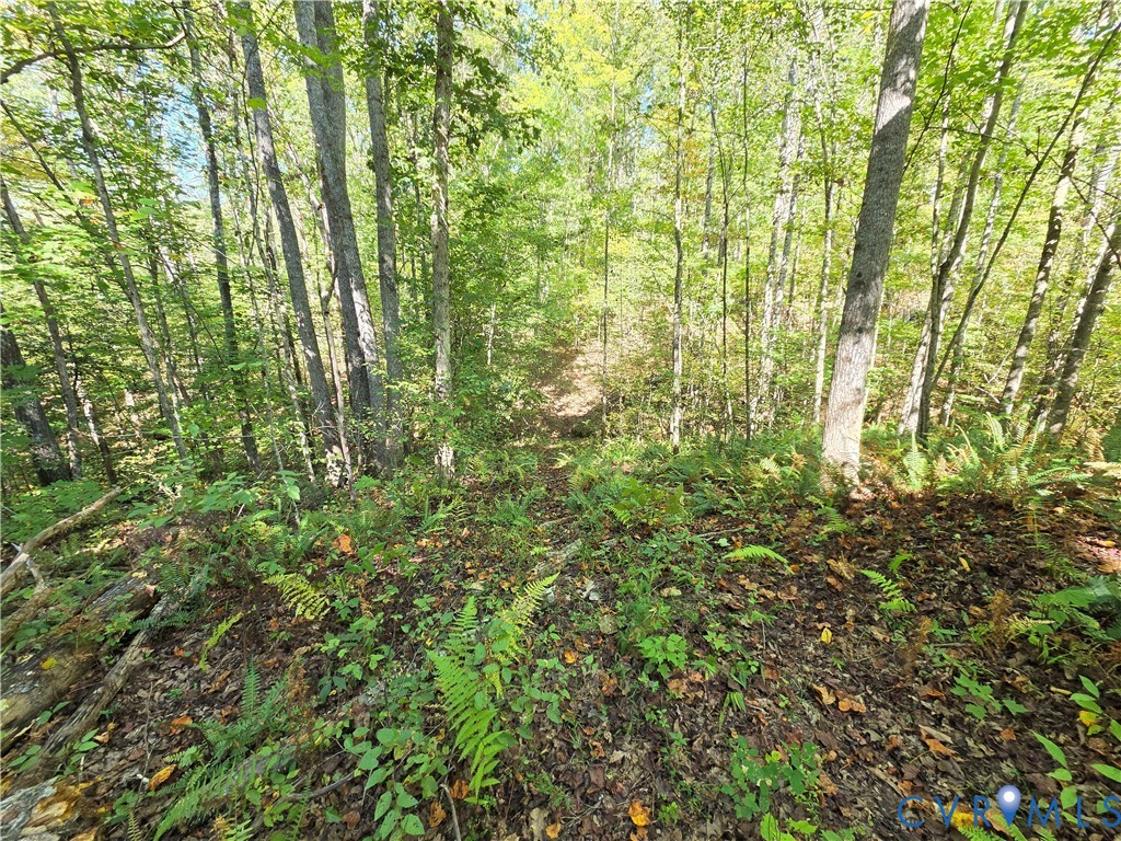 7.433Ac Penlan Road, Arvonia Area, Arvonia, VA 23004