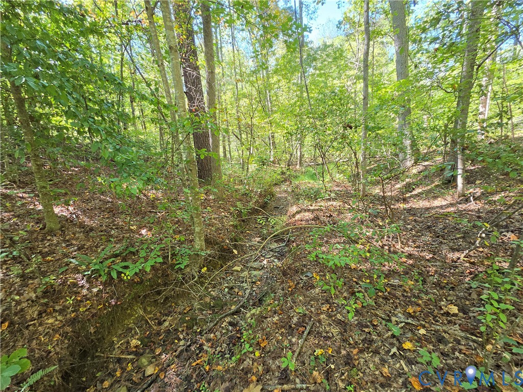 7.433Ac Penlan Road, Arvonia Area, Arvonia, VA 23004