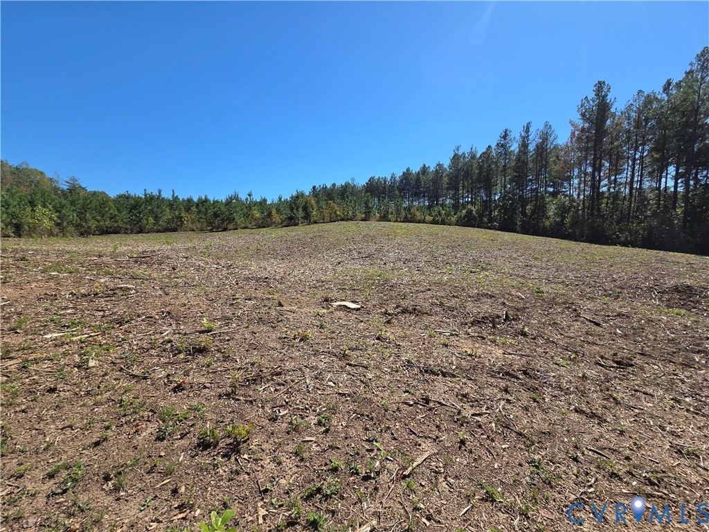 7.433Ac Penlan Road, Arvonia Area, Arvonia, VA 23004
