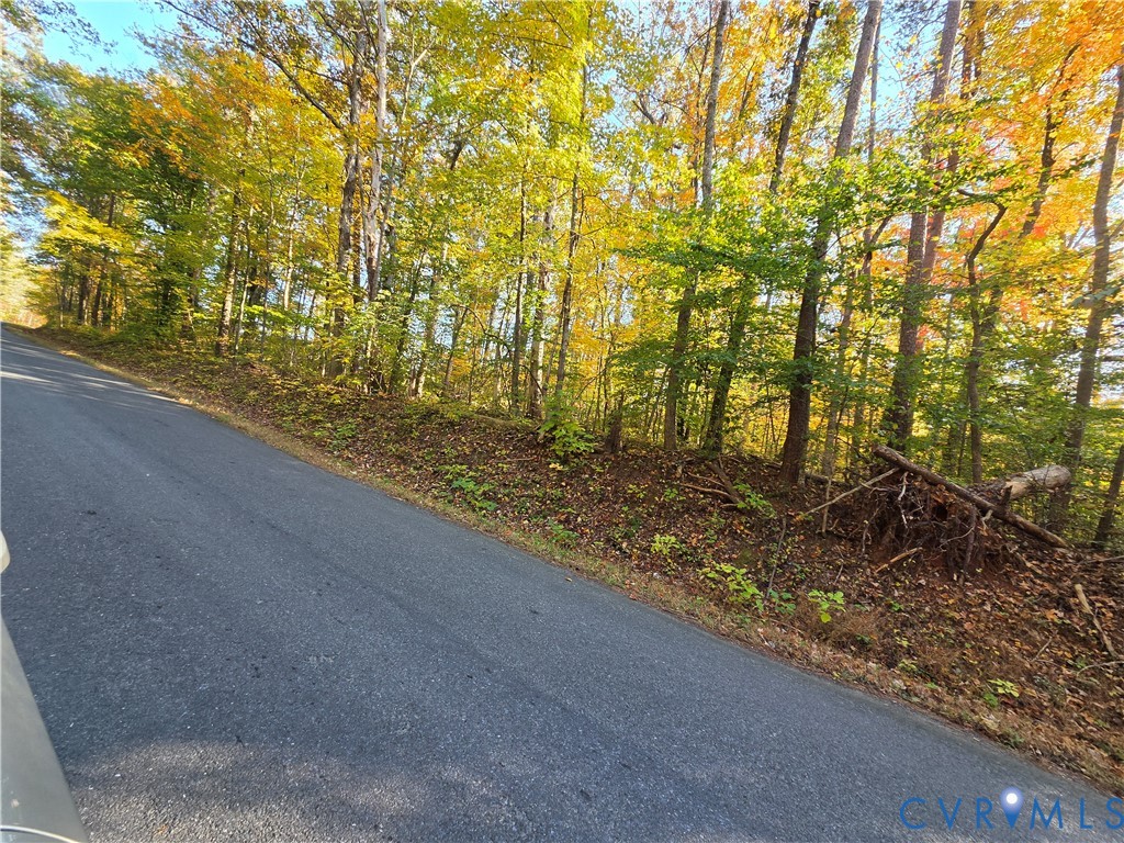 7.433Ac Penlan Road, Arvonia Area, Arvonia, VA 23004