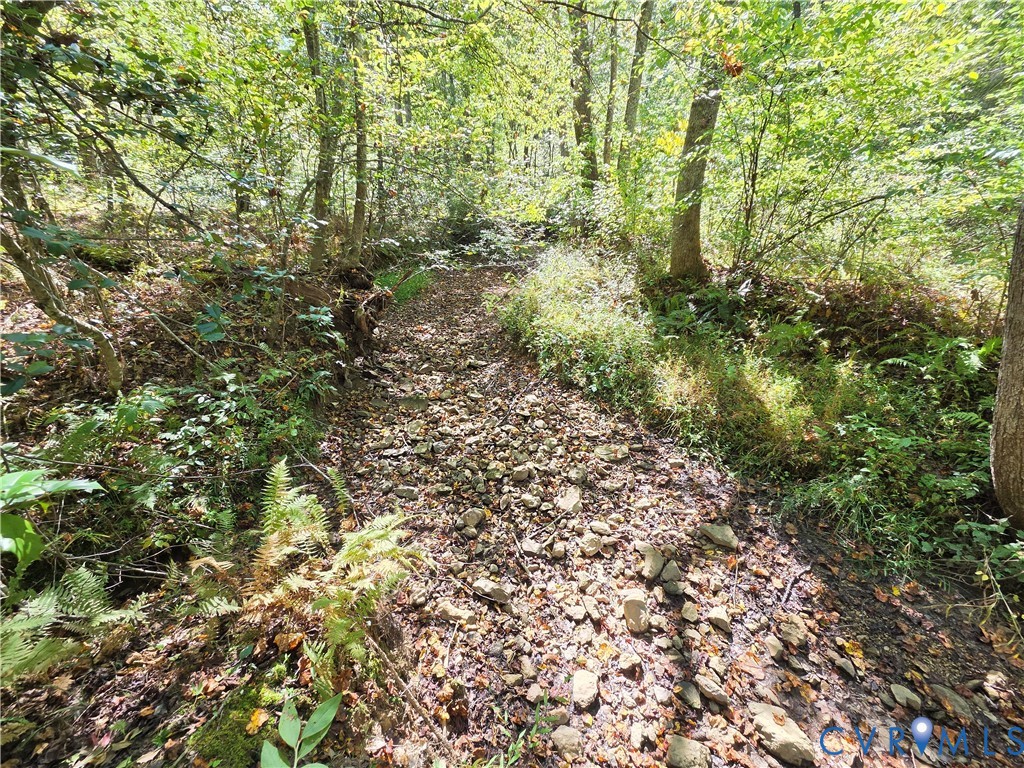 7.433Ac Penlan Road, Arvonia Area, Arvonia, VA 23004