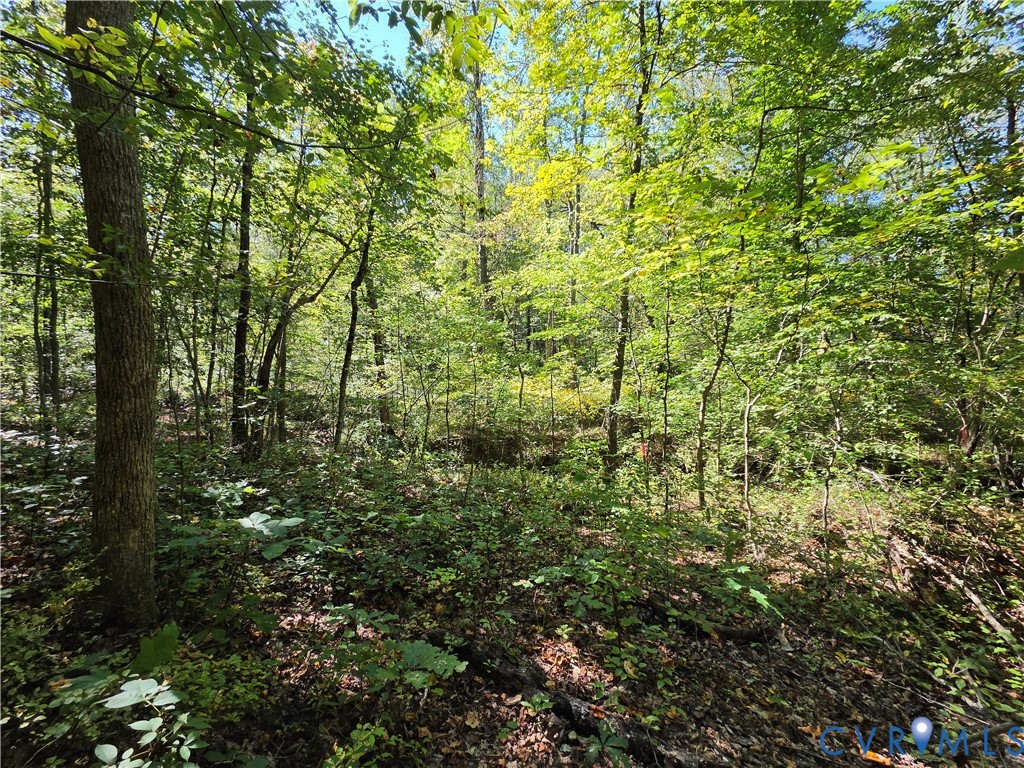 7.433Ac Penlan Road, Arvonia Area, Arvonia, VA 23004