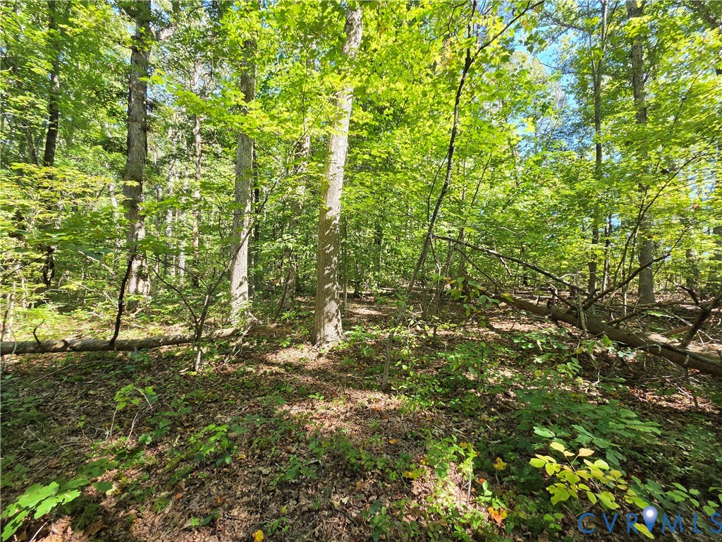 7.433Ac Penlan Road, Arvonia Area, Arvonia, VA 23004