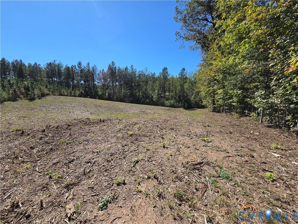 7.433Ac Penlan Road, Arvonia Area, Arvonia, VA 23004