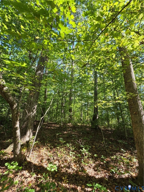 7.433Ac Penlan Road, Arvonia Area, Arvonia, VA 23004