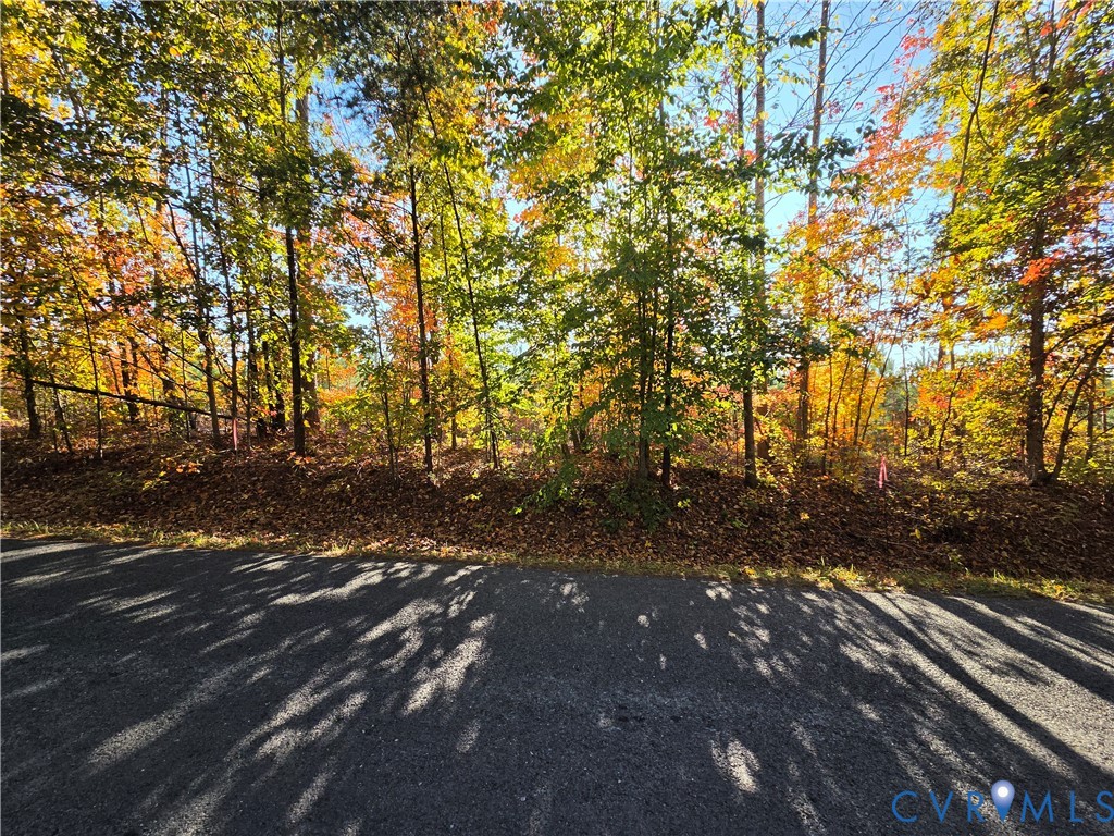 4.05Ac Penlan Road, Arvonia, Arvonia, VA 23004