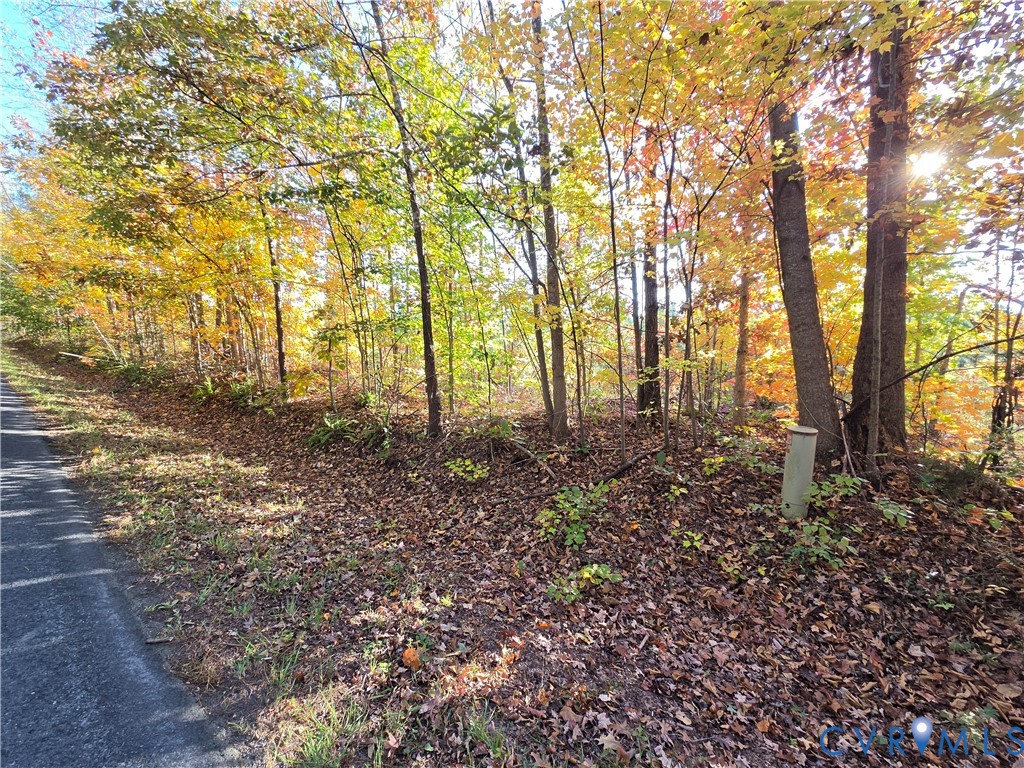 4.05Ac Penlan Road, Arvonia, Arvonia, VA 23004