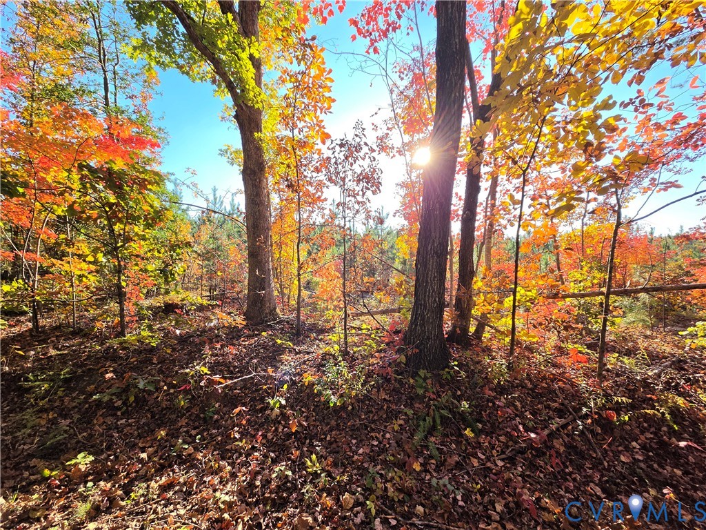 4.05Ac Penlan Road, Arvonia, Arvonia, VA 23004