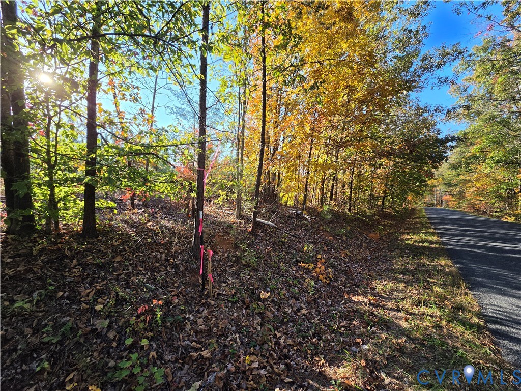 4.05Ac Penlan Road, Arvonia, Arvonia, VA 23004