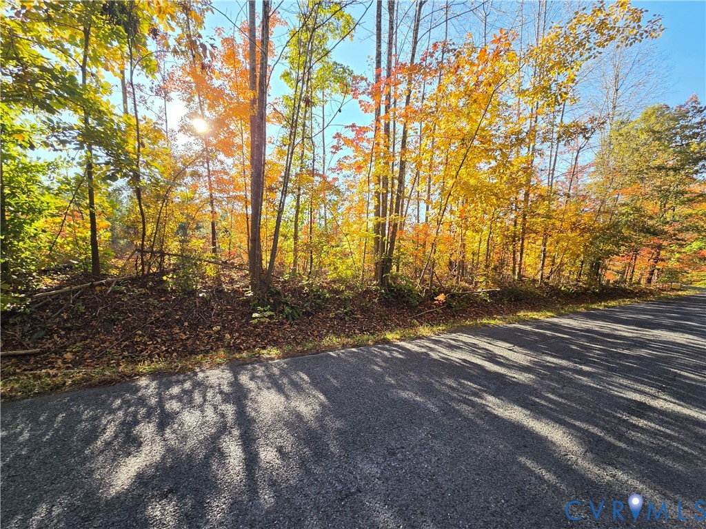 4.05Ac Penlan Road, Arvonia, Arvonia, VA 23004
