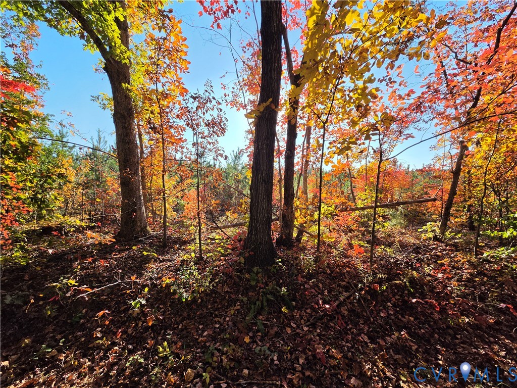4.05Ac Penlan Road, Arvonia, Arvonia, VA 23004