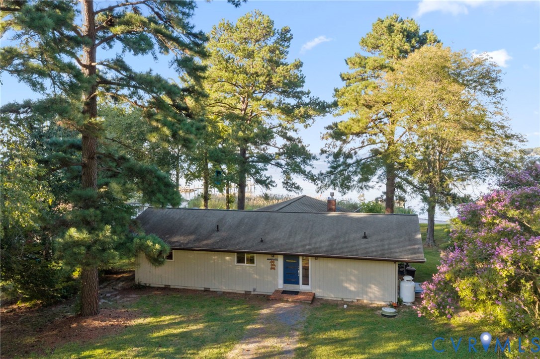 Single-story residence featuring vertical siding, a shingled roof, mature pine trees, and landscaped grounds