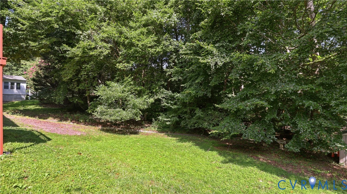 Expansive backyard featuring a grass lawn and mature perimeter trees
