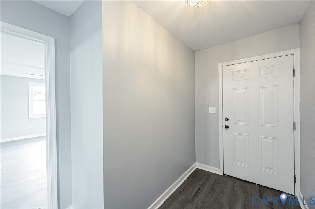 Entryway featuring a six-panel door, neutral wall paint, wood-finish flooring, and a flush-mount ceiling light fixture