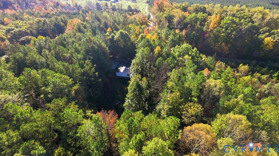 Expansive wooded acreage featuring dense deciduous and coniferous timber