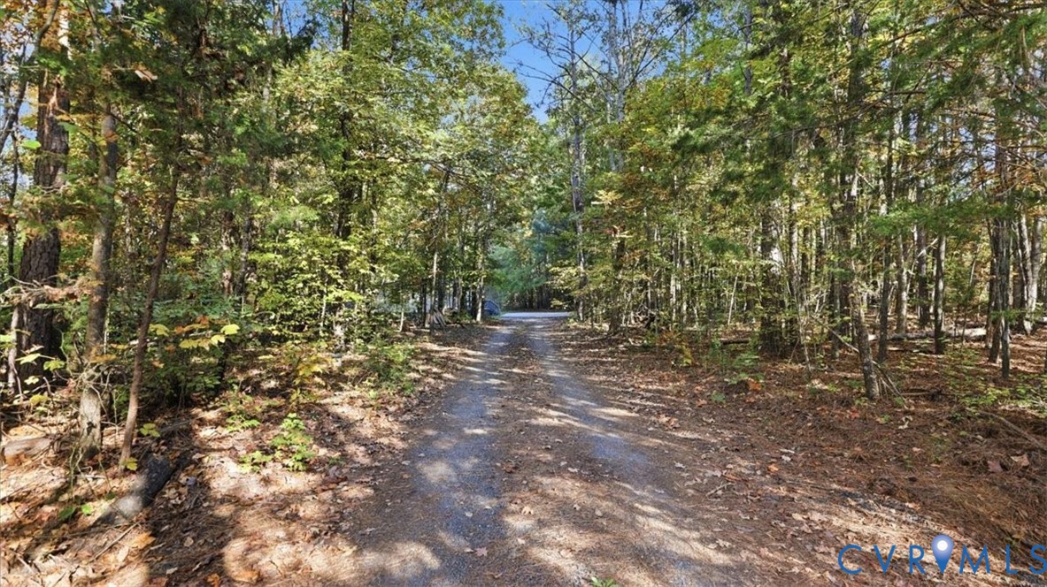 Unimproved land featuring a cleared gravel path and dense mature forest canopy