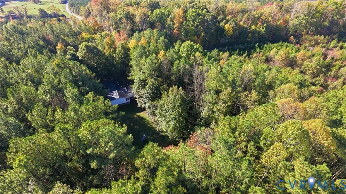 Expansive wooded acreage featuring a cleared homesite surrounded by mature deciduous and coniferous trees