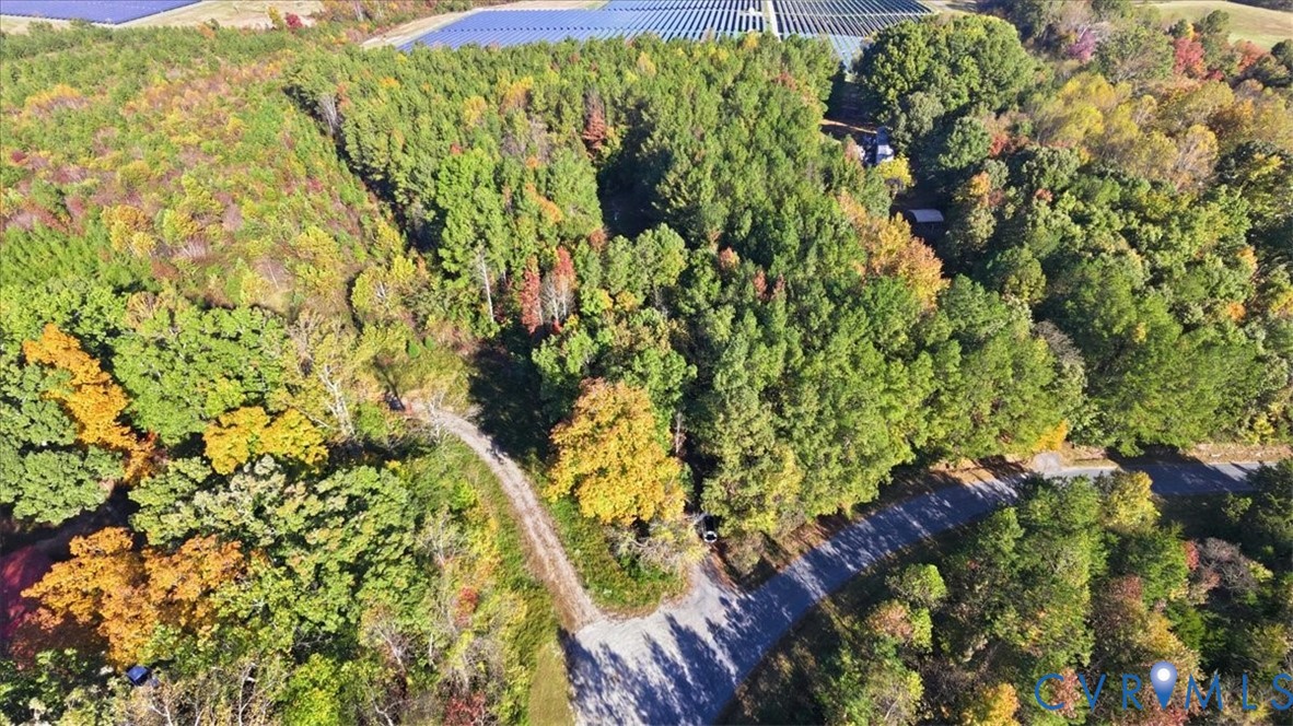 Heavily wooded acreage featuring a cleared gravel driveway and mature trees