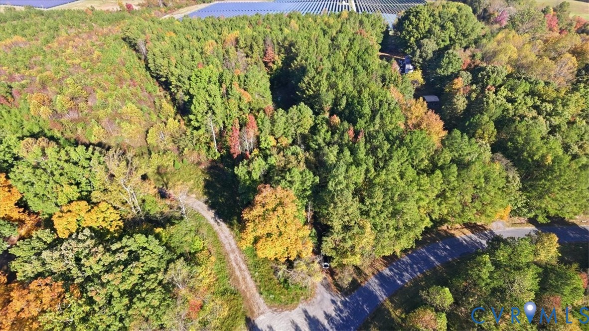 Expansive acreage featuring mature woodlands and a private gravel drive