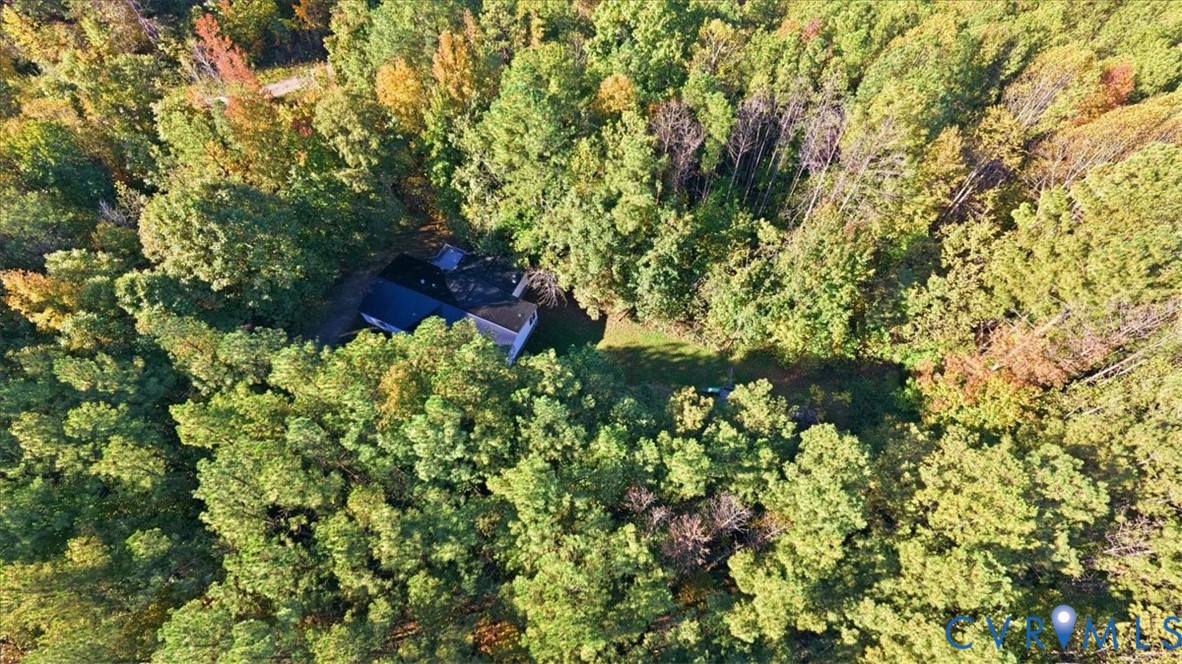 Aerial perspective of a multi-pitched roof structure nestled within a dense forest of mature deciduous and evergreen trees
