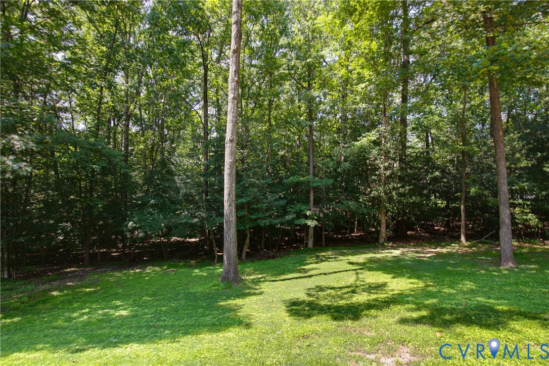 11700 Braystone Lane, The Highlands, Chesterfield, VA 23838