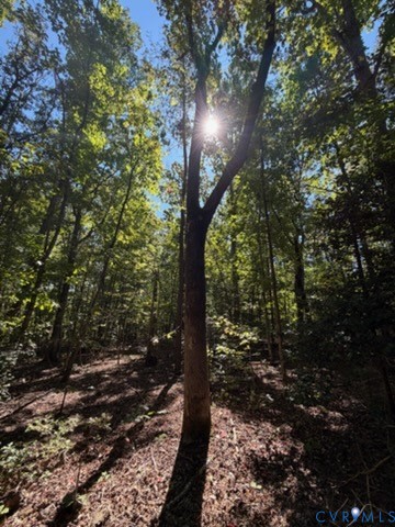 Wooded grounds featuring mature hardwood trees and natural earth flooring Wooded grounds featuring mature hardwood trees and natural earth flooring