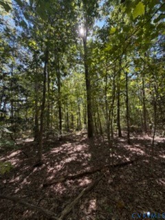 Wooded lot featuring mature hardwood trees and natural terrain