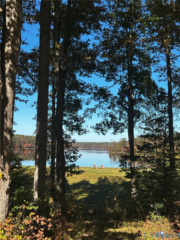 Waterfront property featuring mature trees and open grounds
