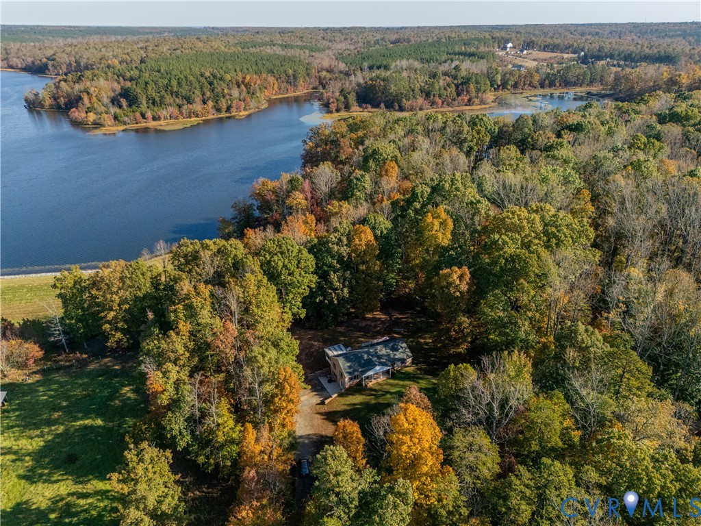 Aerial perspective of a residence situated on a wooded lot, featuring extensive shoreline frontage, mature deciduous and evergreen trees, and a gravel driveway