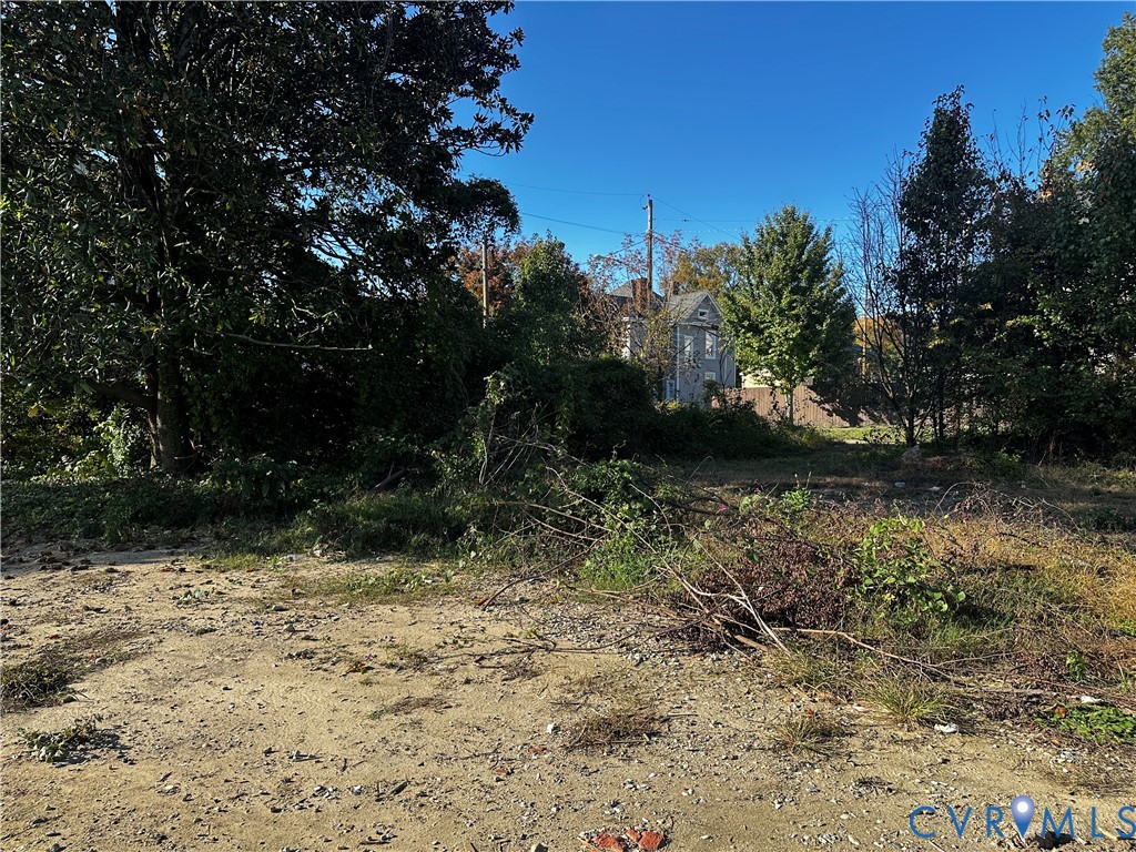 Expansive lot featuring mature trees and established perimeter vegetation