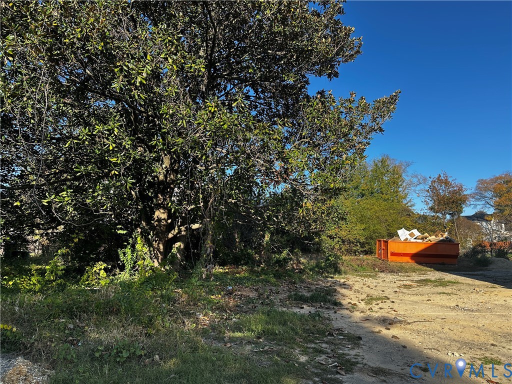 Expansive lot featuring mature trees and established greenery