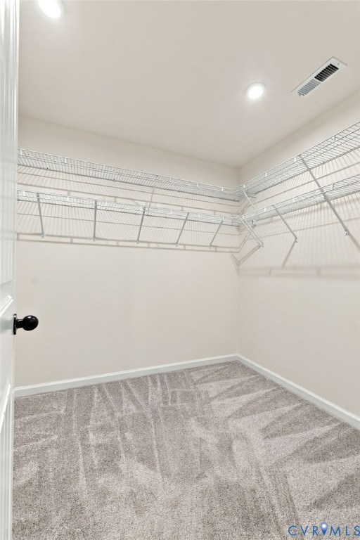 Walk-in storage space featuring neutral carpeting and tiered wire shelving