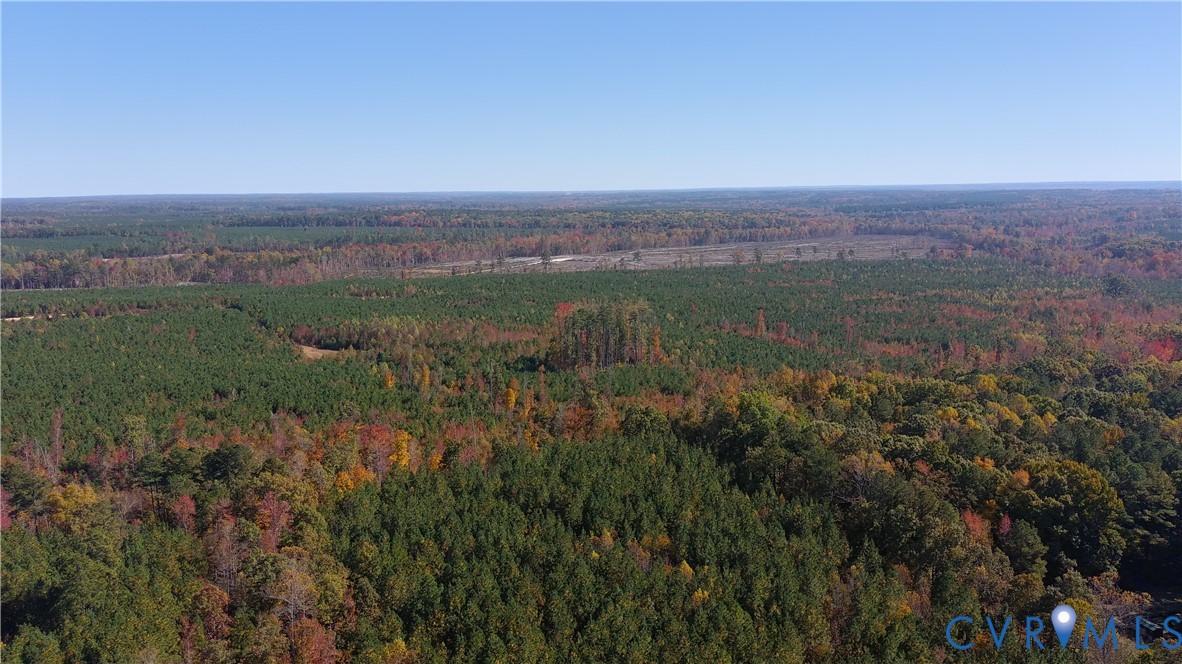 Aerial perspective of expansive acreage featuring dense forest cover and diverse deciduous and coniferous vegetation