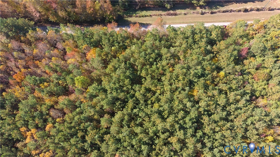 Aerial perspective of densely wooded acreage featuring a variety of mature deciduous and evergreen trees
