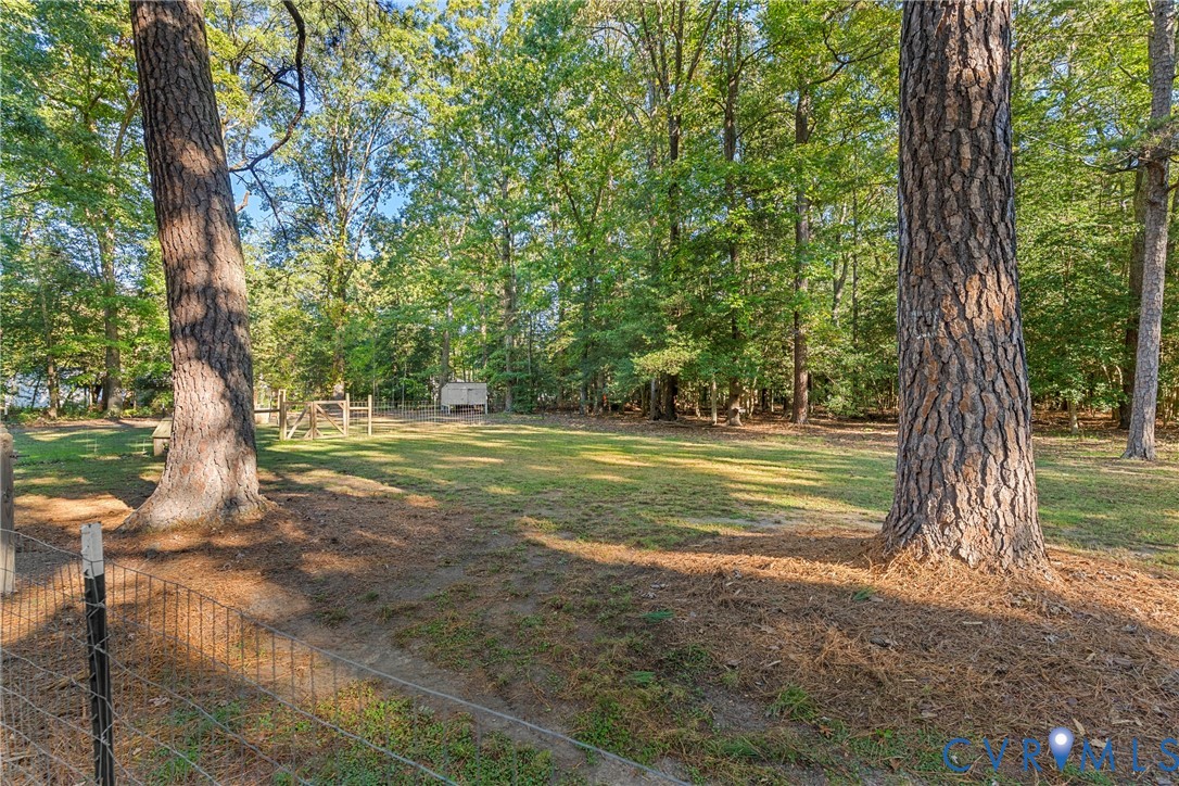 Expansive backyard featuring mature pine trees, a fenced perimeter, and a level grassy lawn
